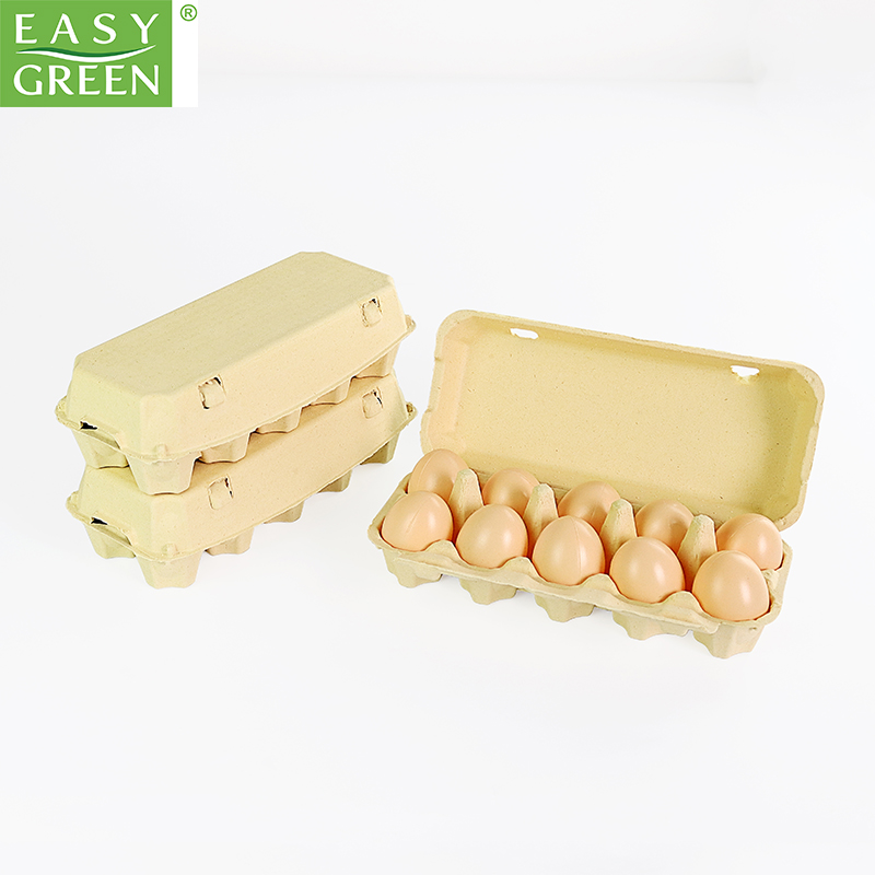 Standard 10-Cell Rectangular Bagasse Pulp Egg carton