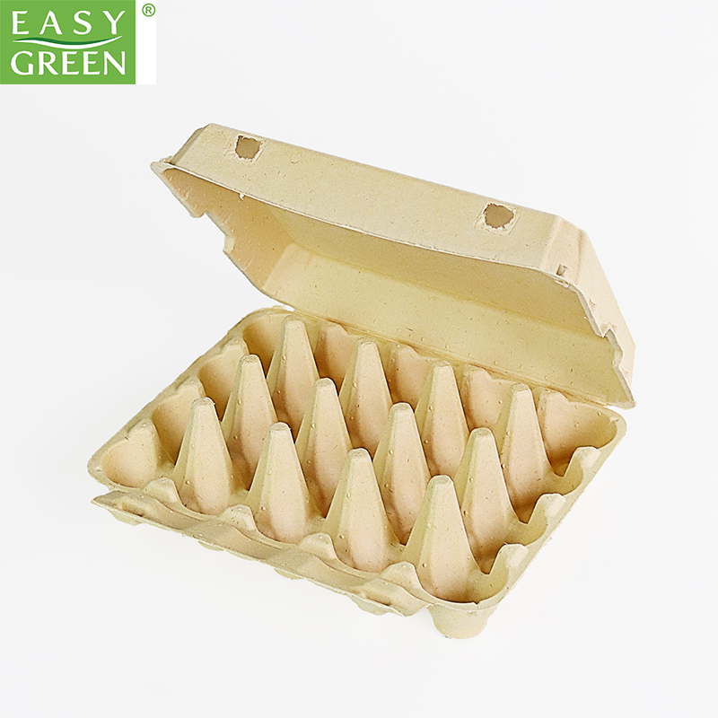 Standard 20-Cell Rectangular Bagasse Pulp Egg carton
