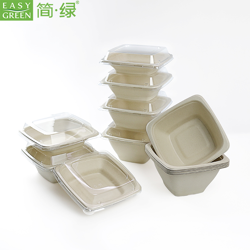 EG Series Square Disposable Bagasse Takeout Food Bowls With Lid
