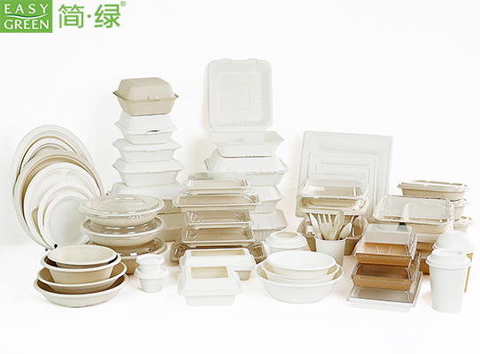 Biodegradable Food Packaging Container with Lid